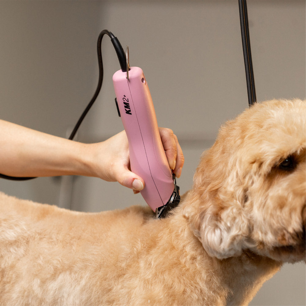 Wahl Pro Pet KM2+ - clipper a filo