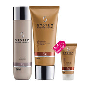 System Professional Basic Routine Per Capelli Spenti