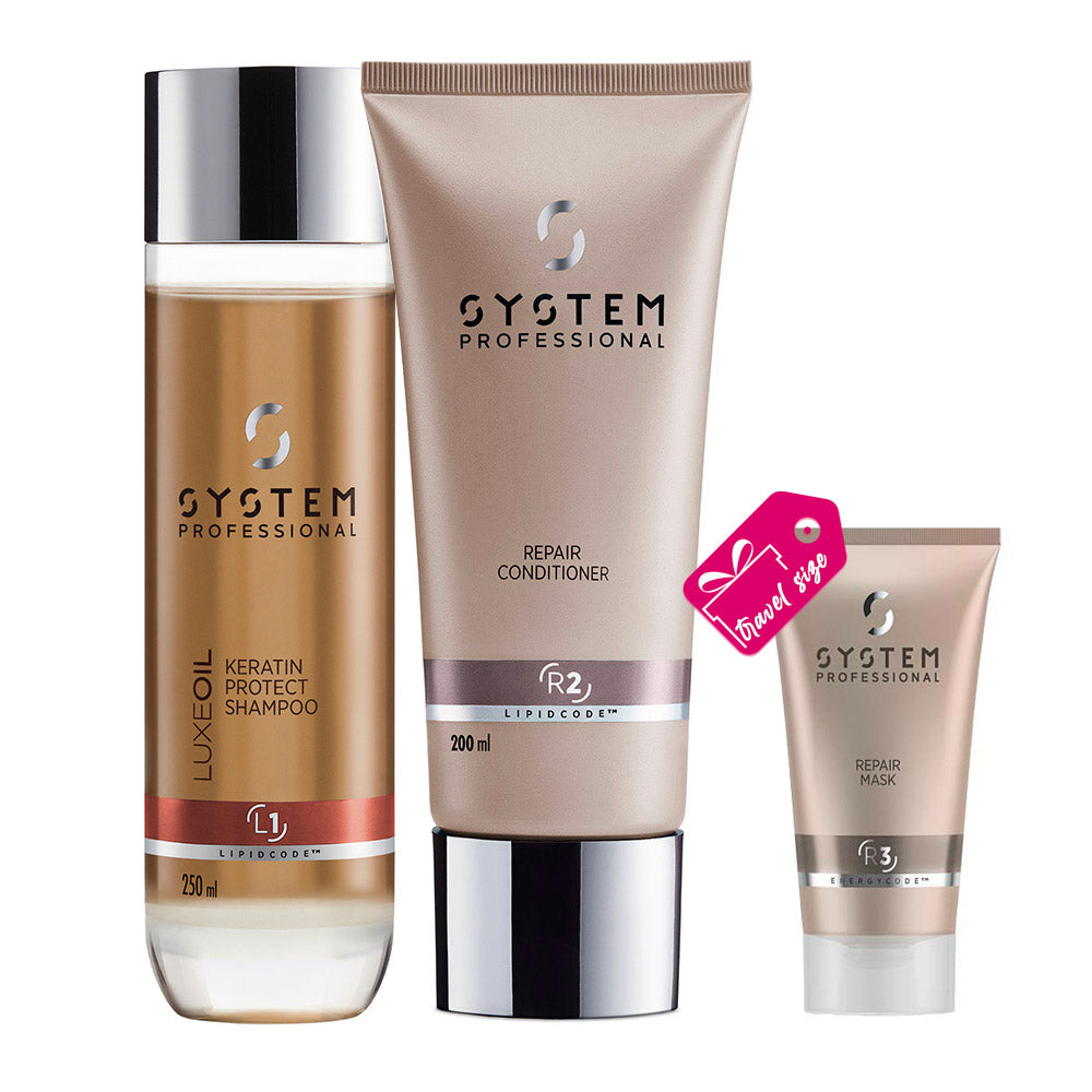 System Professional Basic Routine Per Capelli Danneggiati