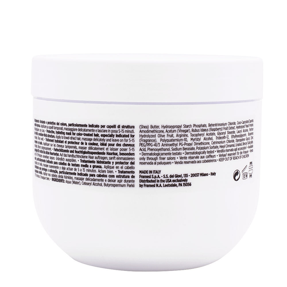 Framesi Morphosis Color Protect Intensive Treatment 250ml
