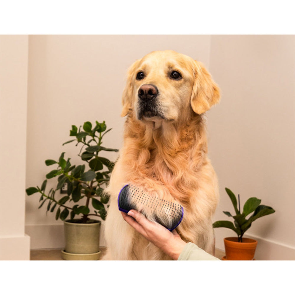 Pet Teezer De-Shedding Purple/Grey  - spazzola per cani a pelo lungo